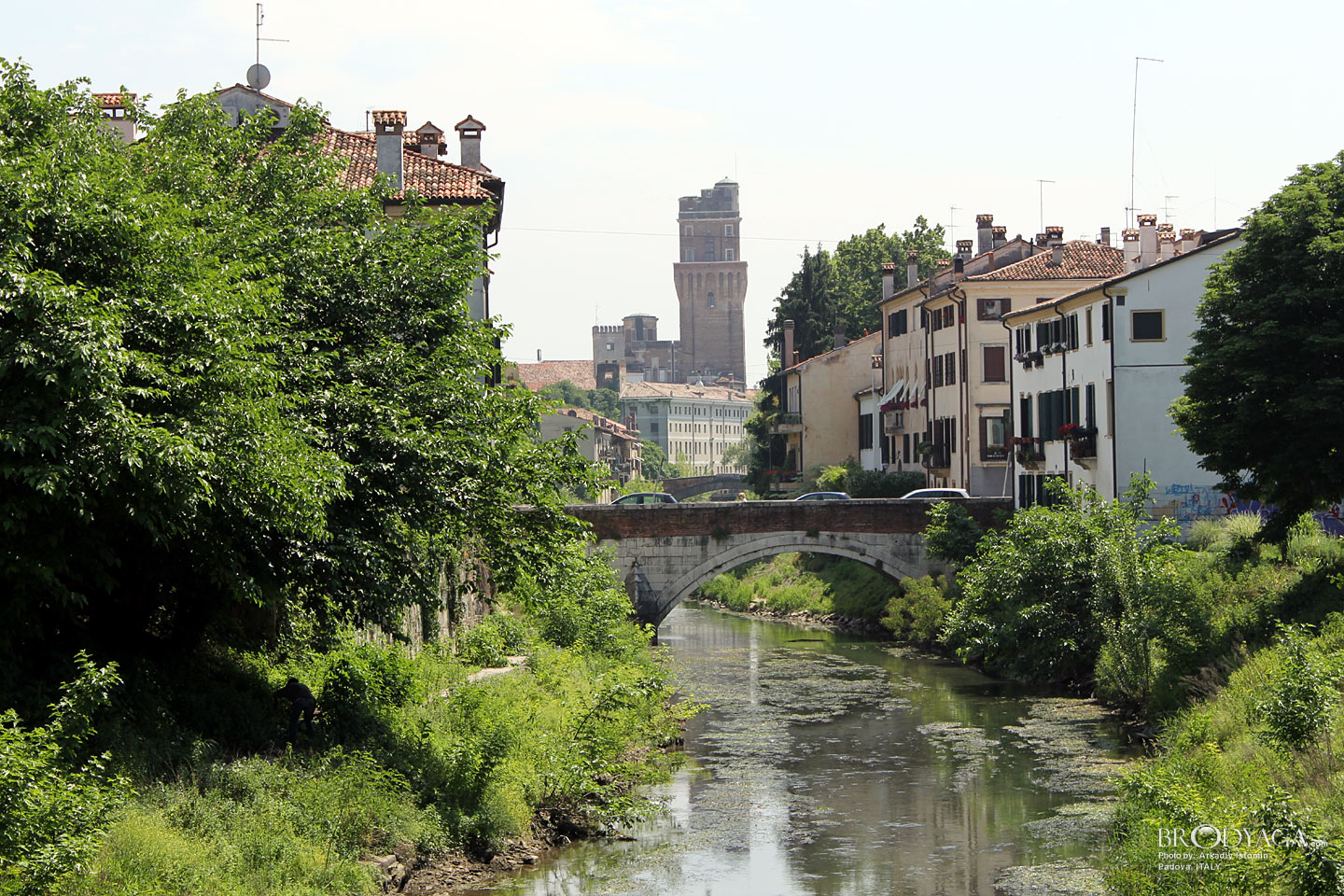 Padova